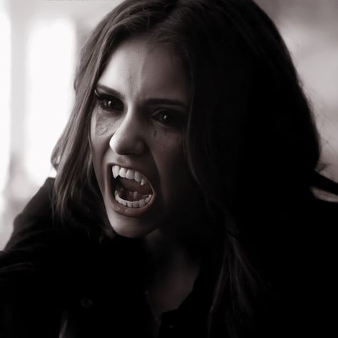 ❛ # katherine pierce aestetic . . 🜲 ❜ Uk Icon, Only Lovers Left Alive, Katerina Petrova, Tvd Universe, The Vampire Diaries 3, Hello Brother, Vampire Diaries Wallpaper, Katherine Pierce, Mystic Falls