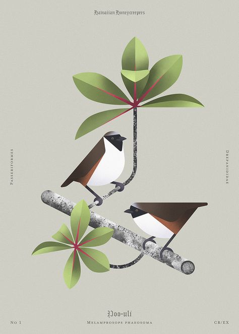 Beauty of birds (illustrations) on Behance Futuristic Illustration Design, Bird Poster Design, Bird Illustration Design, Illustration Design Inspiration, Books Antique, Family Prints, World Illustration, Bird Graphic, Bird Poster