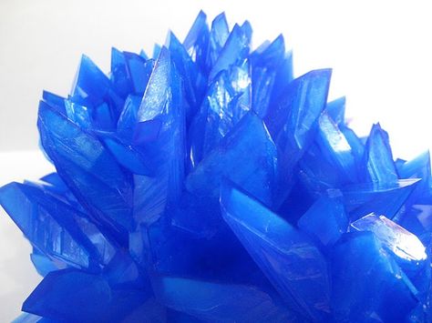 copper sulphate crystals Copper Sulphate, Grow Your Own Crystals, Rocks And Fossils, Rock Types, Stones Throw, Beautiful Rocks, Mineral Collection, Minerals And Gemstones, Rocks And Gems