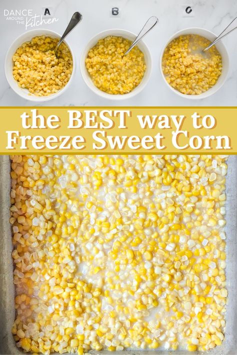 how to freeze corn on the cob Sweet Corn Freezer Recipe, How To Put Fresh Corn In Freezer, Preserving Sweet Corn, How To Freeze Fresh Sweet Corn, How To Preserve Fresh Corn, Freezer Corn Recipe No Cook, Frozen Corn Recipes Easy, Freezing Sweet Corn Without Blanching, Preserving Corn Recipes