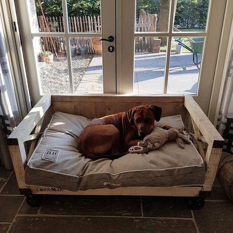 Diy Dog Sofa, Dog Bed Bench, Creative Dog Bed, Pallet Dog Bed, Dog Bed Ideas, Pallet Dog Beds, Dog Bedroom, Custom Dog Beds, Have A Good Sleep