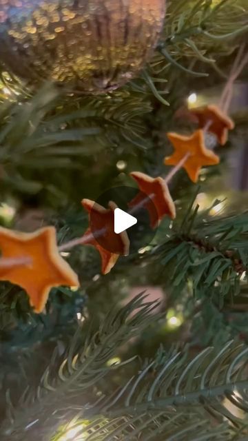 Mud & Bloom on Instagram: "Make orange peel star decorations🎄🍊

These festive orange peel stars are so easy to make and they look great strung up on a Christmas tree, tied onto gifts, added to a wreath or even just scattered across your Christmas dining table!

We’ve written a blog post with full details about how to make them which you can find here: www.mudandbloom.com/blog/orange-peel-decorations

Written and photographed by @denisekhope 

#handmadechristmas #naturaldecorations #christmascraftsforkids #christmascrafts #mudandbloom" Orange Peel Star Garland, Hostess Ideas, Christmas Dining Table, Star Garland, Stars Craft, Xmas Card, Christmas Dining, Star Decorations, Christmas Crafts For Kids