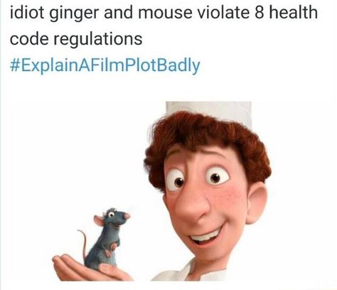 Idiot ginger & mouse violate 8 health code regulations (Explain A Film Plot Badly by Unknown) #Ratatouille Movie Plots Explained Badly, Explain A Film Plot Badly, Bad Film, Movie Plot, Worst Movies, Movie Memes, Disney Jokes, Disney Memes, Disney Funny