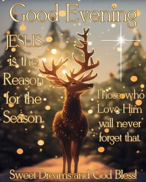 Good Evening...God Bless, Afternoon Blessings, Evening Blessings, Autumn Poems, Beautiful Good Night Quotes, Evening Greetings, Holiday Quotes, You Are Blessed, Christmas Hanukkah, Good Afternoon