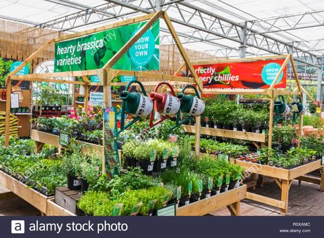 England, Surrey, Guildford, Wisley, The Royal Horticultural Society Garden, Plant Centre, Vegetable Plants for Sale Stock Photo Garden Centre Displays, Garden Center Displays, Plant Display Ideas, Vegetable Plants, Farm Nursery, Room Wall Painting, Iris Garden, Garden Nursery, Forest Garden