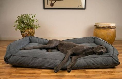 DIY Dog Beds for Big Dogs | ScoutKnows Great Dane Bed, Oversized Dog Bed, Dog Beds Homemade, Giant Dog Beds, Big Dog Beds, Pets Wallpaper, Animals Jokes, Extra Large Dog Bed, Human Dog Bed