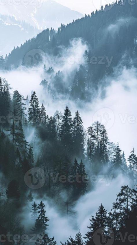 Foggy mountain landscape with lush pine trees Foggy Mountains, Radha Painting, Krishna Radha Painting, Tree Saw, Wedding People, Krishna Radha, Heart Tree, Cityscape Photos, Nature Backgrounds