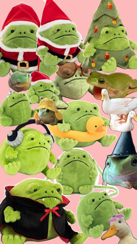 Ricky, the frog jelly, cat frog duck Ricky The Rain Frog, Jelly Cat Frog, Frog Jellycat, Ricky Rain Frog, Frog Jelly, Bf Gift, Rain Frog, Vision Bored, Jellycat Stuffed Animals