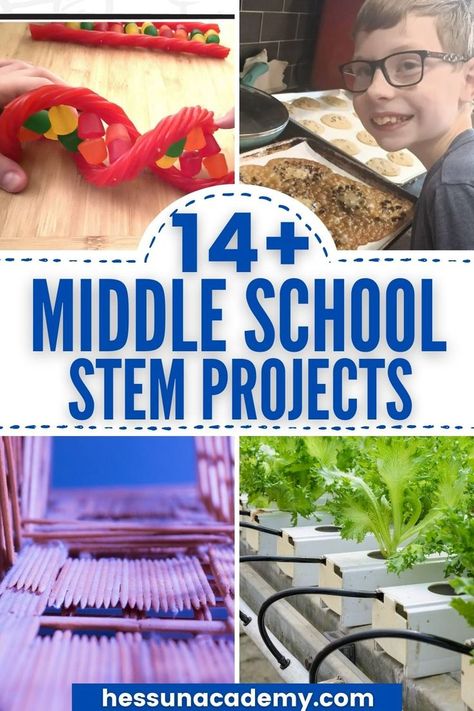 Cool Science Experiments For Middle School, Fun Projects For Middle Schoolers, Middle School Experiments, Science For School Age, 3rd Grade Engineering Projects, Middle School Projects Ideas, Craft For Middle Schoolers, Steam For Middle Schoolers, Stem Bins Middle School