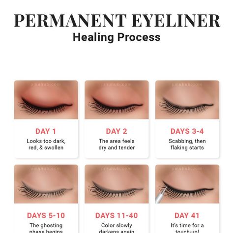 Swipe to see Healing stages of your SEMI PERMANENT MAKEUP PROCEDURE Permanent Makeup Training, Makeup Training, Semi Permanent Makeup, Permanent Makeup, Semi Permanent, Healing, Makeup, Make Up