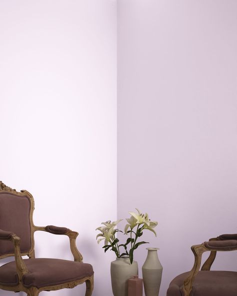 Best Purple Paint Colors, Benjamin Moore Shadow, Benjamin Moore Abalone, Lilac Paint, Paint Color Swatches, Purple Paint Colors, Purple Painting, Benjamin Moore White, Touch Of Gray