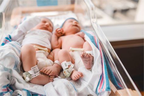 Newborn Twins Fresh 48- Prentice Hospital Photographer | Hannah Drews Photography Baby Hospital Photos, Newborn Hospital Pictures, Babies Pictures, Baby Hospital Pictures, Newborn Baby Hospital, Newborn Black Babies, Hospital Photography