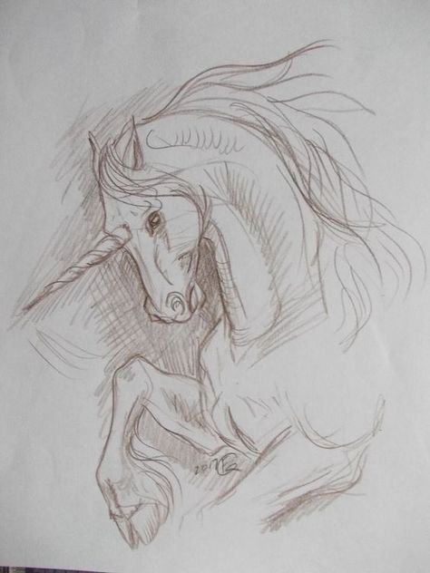 Fantasy Creature Sketch, The Last Unicorn Drawing, Unicorn Drawing Aesthetic, Unicorn Realistic Drawing, Drawing Fantasy Art Sketches Easy, Unicorn Pencil Drawing, Mythical Creatures Sketches, Unicorn Sketch Pencil, Fantasy Animals Drawing