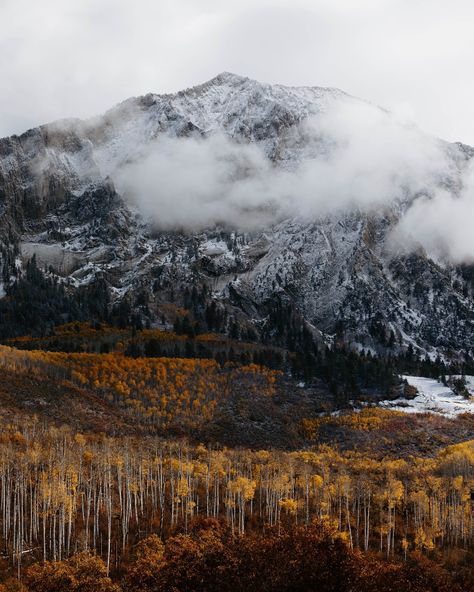 AUTUMN 🍁 from the east coast to the west coast 1. Stowe, Vermont 2. Kebler Pass, Colorado 3. Cambridge, Vermont 4. Maple Pass, North Cascades Washington 5. Quinault Rainforest, Washington 6. Maine 7. Utah 8. Stowe, Vermont 9. Acadia National Park, Maine 10. Conway, New Hampshire 11. Willamette Valley, Oregon 12. Stowe, Vermont 13. Glidden Point Oyster Farm, Maine 14. White Mountains, New Hampshire 15. Quinault Rainforest, Washington 16. Rockland, Maine Quinault Rainforest, Cascades Washington, Conway New Hampshire, Willamette Valley Oregon, White Mountains New Hampshire, Rockland Maine, Acadia National Park Maine, Stowe Vermont, Willamette Valley