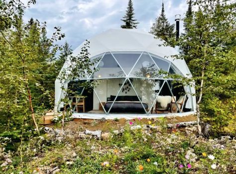 Space Food, Glamping Resorts, Forest Scenery, Dome House, Dome Tent, Food Forest, Geodesic Dome, Pressure Washing, Space Design