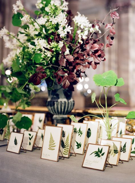 6 Pressed-Flower Wedding Decoration Ideas We Love | Brides Sarah Winward, Wedding Favor Table, Table Assignments, Pressed Botanicals, Wedding Numbers, Wedding Details Card, Cards Table, City Hall Wedding, Wedding Flower Decorations