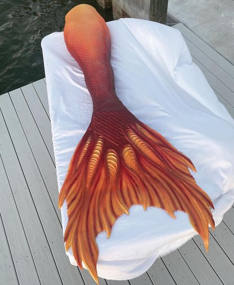 Mermaid Tails Aesthetic, H2o Shifting, Orange Mermaid Tail, Mermaid Tail Aesthetic, Red Mermaid Tail, Gold Mermaid Tail, Realistic Mermaid Tails, Blue Mermaid Tail, Orange Mermaid