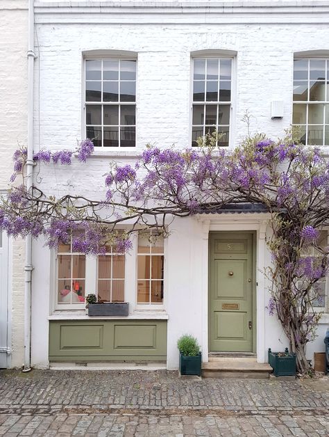 Wisteria Wisteria On House Exterior, Wisteria Victorian House, Copenhagen House Exterior, Wisteria Front Door, Vines On House Exterior, Wisteria On House, Wisteria Window, White Picket Fence Ideas, Wisteria House