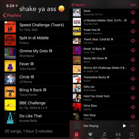 Playlist Names Twerking, Turnt Music Playlist, Party Bus Music Playlist, Throw Back Playlist Names, Gangsta Music Playlist, Shake Sum Playlist, Twerking Songs Playlist, Throw Back Playlist, Birthday Playlist Names