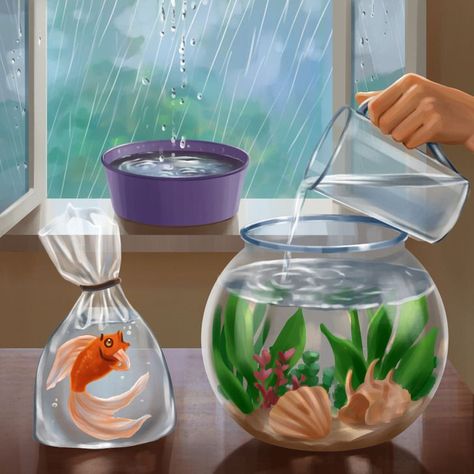 Fish Bowl Ideas, How To Clean Betta Fish Tank, How To Care For Beta Fish, Fish Tank Cleaning Hacks, Self Cleaning Fish Tank, Vase Fish Tank Glass, Large Fish Tanks, Plastic Fish Tank, Glass Water Jug