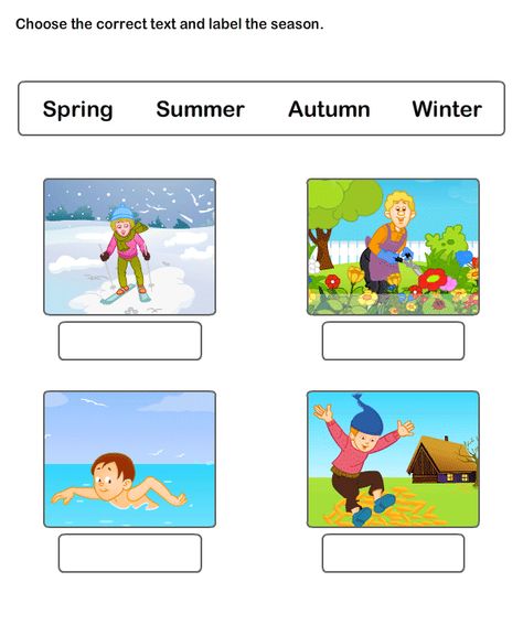 Seasons Worksheet 4 - science Worksheets - kindergarten Worksheets Seasons Kindergarten, Seasons Lessons, Seasons Worksheets, Weather Worksheets, 2nd Grade Worksheets, English Worksheets For Kids, Kindergarten Science, 1st Grade Worksheets, English Lessons For Kids