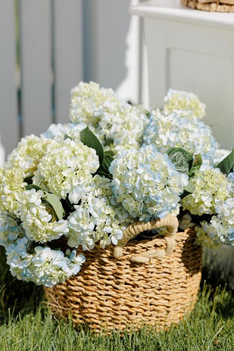 Looking for hydrangea wedding inspo? This coastal grandmother floral arrangement is the perfect option! Head to the the full gallery on the Style Me Pretty blog for more! Photography: Kimberly Hidore Photography (http://www.kimberlyhidorephotography.com) Basket Of Hydrangeas, Hydrangea Basket Wedding, Edgartown Marthas Vineyard, Basket Flower Arrangements, Coastal Garden, Hydrangea Wedding, Martha’s Vineyard, Hydrangeas Wedding, Coastal Gardens