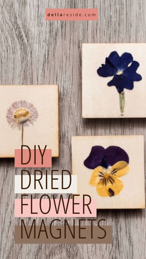 These lovely pressed flower magnets include real dried floral elements and are a great DIY craft idea that can be done with kids. Use them to display your special notes and announcements, as a way to do something with the dried flowers from your wedding, or as a way to capture the essence of summer all year long. They also make great gifts! #diy #craft What To Do With Dried Flowers Diy, Collage With Dried Flowers, Crafts Using Dried Flowers, Pressed Flower Earrings Diy, Flower Press Crafts, Dried Flower Crafts To Sell, Dried Flower Magnets, Pressed Flower Crafts Gift Ideas, Pressed Flower Crafts For Kids