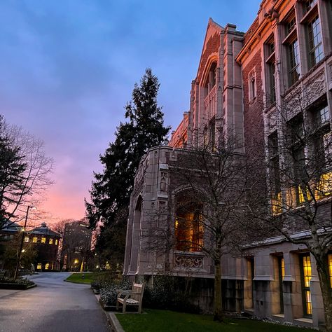 U Of Washington, University Of Washington Seattle Aesthetic, Udub Seattle, University Of Washington Aesthetic, U Washington, Uw Seattle, University Of Washington Seattle, Seattle Library, Cotton Candy Sunset