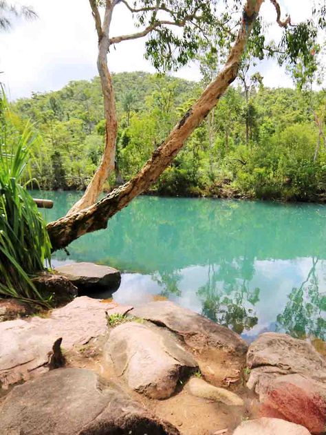 Creek Swims - Yeppoon, Capricorn Coast Estuarine Crocodile, Aus Travel, Australian Landscape, North Queensland, Camping Area, Swimming Holes, Family Holidays, Blue Abstract, Water Park