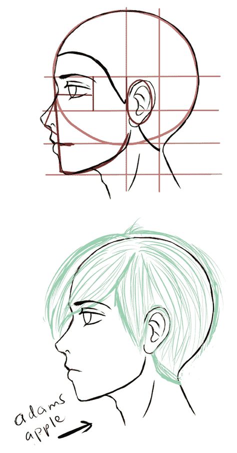 Manga Tips, Side Face Drawing, Face Illustrations, Manga References, Drawing Tut, Side View Drawing, Manga Reference, Drawing Help, Profile Drawing