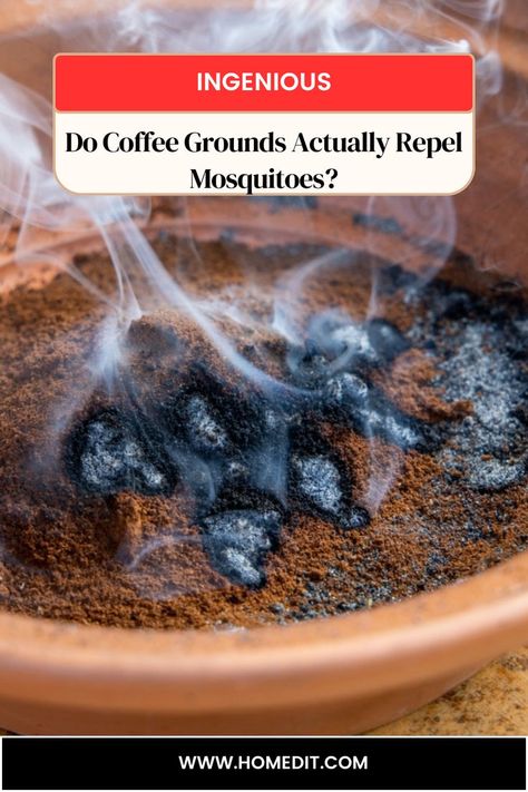 Who doesn’t appreciate the smell of coffee? Mosquitos–apparently. Burned used coffee grounds are being hyped as a natural mosquito repellant. Does this really work? Here’s the scoop. Used Coffee Grounds, The Smell Of Coffee, Burnt Coffee, Natural Mosquito Repellant, Architecture Bathroom, Uses For Coffee Grounds, Patio Party, Citronella Candles, Counter Height Stools