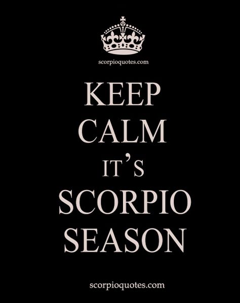 16 SCORPIO SEASON MEME ECARDS: #1 It's Scorpio Season. Hide ya kids, hide ya wife! #2 Keep Calm Cause I'm an October Baby. #3 Keep Calm November Babies Rock! #4 Scorpio Season, Is that you playa? November My Favorite Month, November Birthday Month Quotes, Scorpio Season Quotes, November Born Quotes, Scorpio Month, Bday Status, November Birthday Quotes, October Scorpio, Scorpio Meme