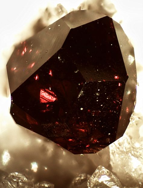 Almandine Garnet in Quartz matrix from Nevada Raw Garnet, Gemstones And Crystals, Almandine Garnet, Pretty Rocks, Beautiful Stones, Beautiful Rocks, Made Jewelry, Minerals And Gemstones, Rocks And Gems