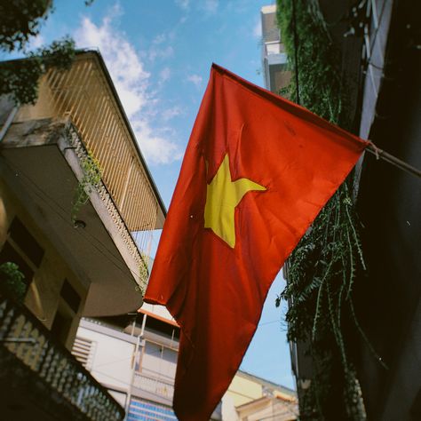 Vietnamese Flag, Canada Flag, Original Work, Independence Day, Country Flags, Wind Sock, Vietnam, Outdoor Decor, Art