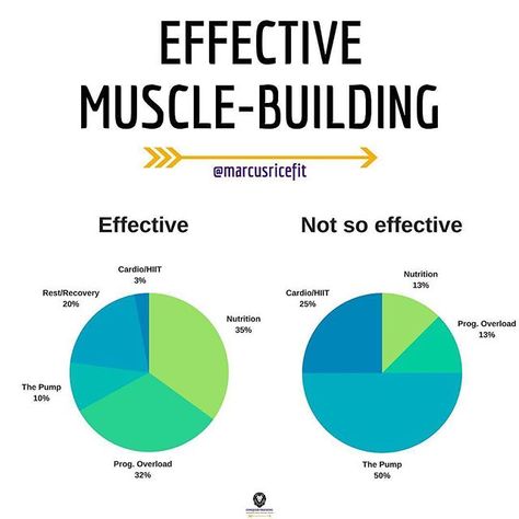 How to build muscles? - Repost from @marcusricefit - ➡️When it comes to an optimal approach to muscle-building, many well-intentioned but misinformed people flip the script - ➡️They think that getting an insane “pump” on a muscle group is the key to growth, and might not even be tracking their workouts. Oftentimes they just hit each muscle group once per week to achieve this - ➡️Nutrition isn’t tracked and is more of an afterthought beyond consuming all the protein in sight (ironically because t How To Build Muscles, Fitness Knowledge, Calorie Surplus, Pole Vaulting, Compound Lifts, Fitness Trail, Progressive Overload, Lifting Motivation, Flip The Script