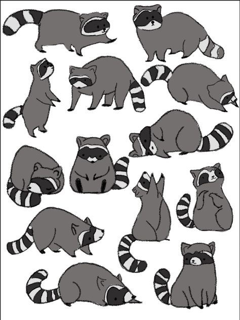 I love this so much!!! Ahhhhh!!! Raccoon Anatomy Drawing, Silly Raccoon Drawing, Raccoon And Possum Drawing, Raccoon Doodle Easy, Raccoon Sketch Simple, Raccoon Drawing Sketches, Raccoon Drawing Reference, Raccoon Cartoon Drawing, Possum Drawing Easy