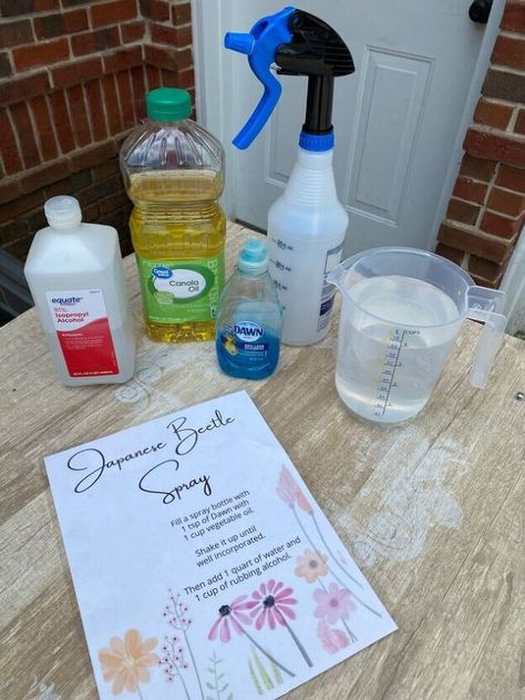 Stink Bug Spray, Stink Bug Repellent, Homemade Bug Spray Recipe, Homemade Fly Spray, Household Bugs, Home Pest Control, Pest Spray, Homemade Bug Spray, Diy Bug Spray