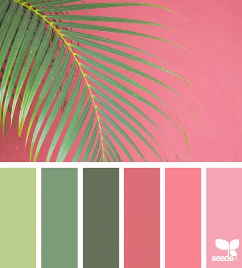 Color Frond | design seeds | Bloglovin’ Flamingo Pink Color Palette, Flamingo Color Palette, Pink Green Color Palette, Pink And Green Color Palette, Flamingo Pink Color, Rainbow Color Palette, Flamingo Color, Seeds Color, Paint Color Schemes