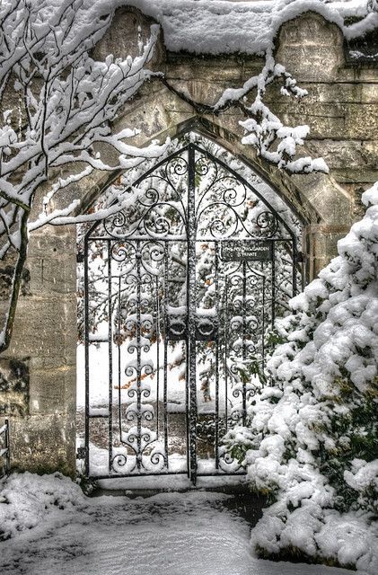 Snowy Garden Gate Winter Szenen, Snow Covered Trees, I Love Winter, Winter Makeup, The Secret Garden, Iron Gates, Winter Magic, Winter Scenery, Garden Gate