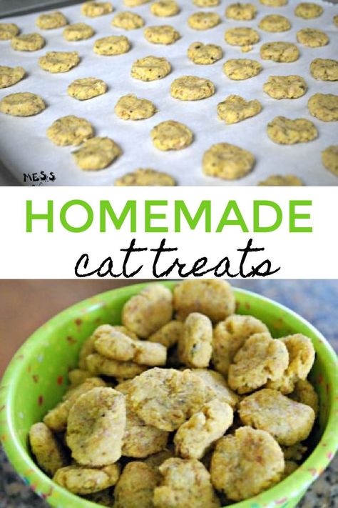 Homemade Cat Treats, Homemade Cat Treats Recipes, Diy Cat Treats, Tuna Cat Treats, Pet Treats Recipes, Homemade Cat Food, Cat Snacks, Homemade Cat, Cat Treat Recipes