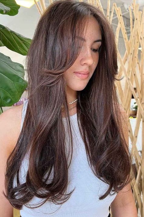 Curtain Bangs With Long Hair: 25 Dazzling Ideas To Get Inspired! Bangs Butterfly Cut, Curtain Bangs Long Hair Straight, Curtain Bangs With Long Hair, Dark Chestnut Hair, Braid Hairstyles For Long Hair, Bangs With Long Hair, Long Curtain Bangs, Haircuts For Frizzy Hair, Hair Curtain Bangs