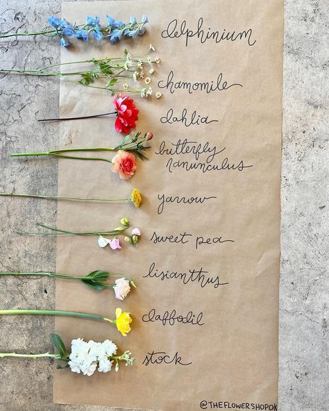 The Flower Shop | Norman Florist (@theflowershopok) • Instagram photos and videos Wildflower Wedding Diy, French Florist Shop, Cute Flower Shop Names, Flower Workshop Ideas, Florist Hacks, Florist Shop Aesthetic, Florist Shop Ideas, Flower Shop Ideas, Florist Business Plan