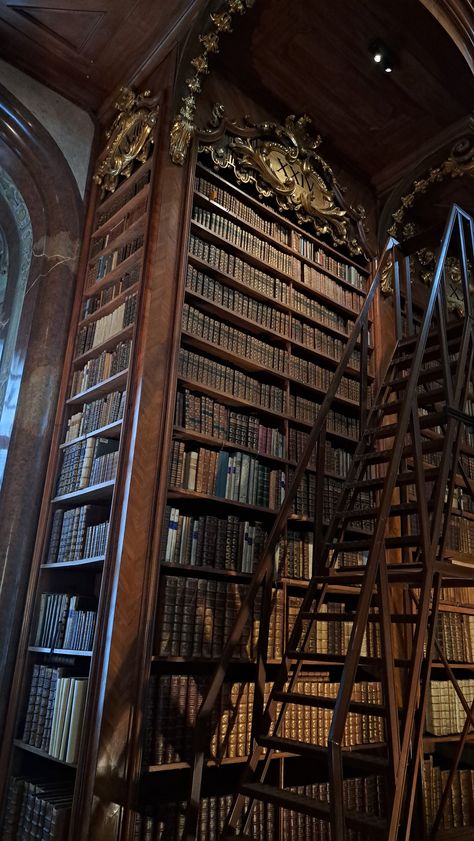 Witch Library Aesthetic, Witch Library, Old Library Aesthetic, Librarian Aesthetic, Ancient Library, Academia Aesthetics, Dream Library, Career Vision Board, Old Library