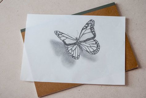 Butterfly drawing in 3D. Step by step — Steemit Butterfly Drawing 3d Art, 3d Butterfly Drawing Pencil, 3d Art Step By Step, 3d Butterfly Drawing Step By Step, Butterfly 3d Drawing, 3d Pencil Drawings Step By Step, Butterfly Sketch Step By Step, 3d Drawings Step By Step, 3d Butterfly Drawing