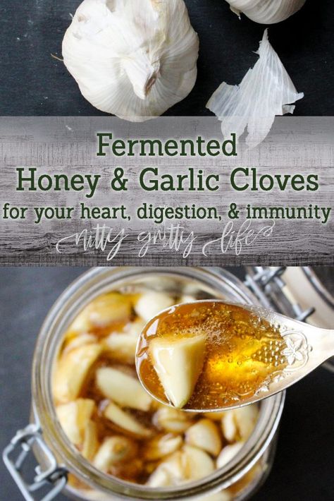 Fermented Honey and Garlic Cloves Honey Fermented Garlic, Garlic And Honey Benefits, Fermented Honey Garlic, Fermented Garlic Honey, Honey Remedies, Fermented Garlic, Fermented Honey, Garlic Honey, Infused Honey