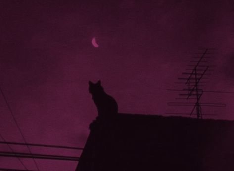 #wattpad #random pretty aesthetics you can use. Story Themes, Dark Fuschia, Burgundy Aesthetic, Violet Aesthetic, Pink Grunge, Charmmy Kitty, Dark Magenta, Witch Aesthetic, Aesthetic Colors