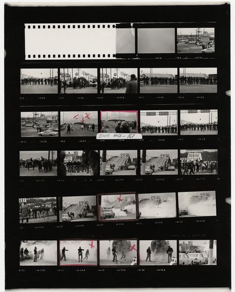 Selma March, Charles Moore, High Museum Of Art, Photography Museum, Tokyo Museum, Chuck Close, Contact Sheet, Milwaukee Art Museum, Robert Frank