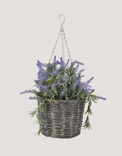 Lavender Hanging Basket, Plum Basket, Cottagecore Basket, Purple Laundry Basket, Purple Basket, Grey Basket, Lavendar Plant Aesthetic, Plants In Baskets, Lavender Plant