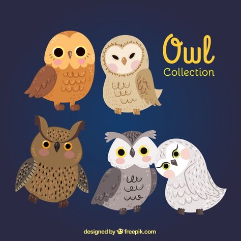 Different kinds of owls Vector | Free Download Owl Cute Drawing, Owl Character, Cute Owl Cartoon, Animal Couple, Owl Quilts, Owl Bags, Owl Vector, Felt Owls, Owl Collection