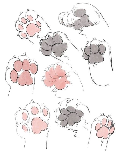 Big Cat Sketch, Cat Art Reference, Cat Paw Drawing, Puppy Boy, Paw Drawing, Cat Drawing Tutorial, Drawing Hands, Warrior Cat Drawings, Drawings Ideas